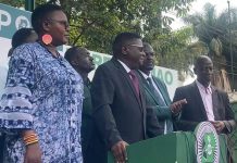 Mao Stakes Claim to Anita Among’S Job Mao Stakes Claim to Anita Among'S Job