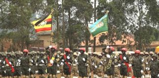 From Fronasa to a Professional Force Updf’S Journey From Fronasa to a Professional Force Updf’S Journey