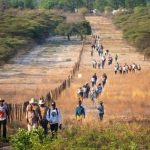 Private Sector Role in Greenhouse Gas Mitigation in Africa Private Sector Role in Greenhouse Gas Mitigation in Africa