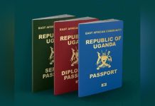 Fibre Cut Disrupts Mbarara Immigration Services Fibre Cut Disrupts Mbarara Immigration Services