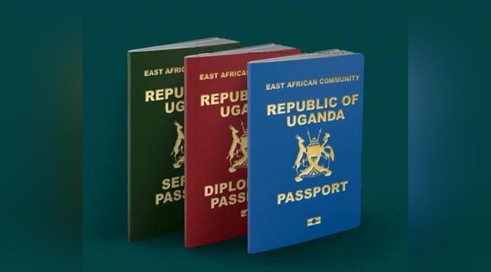 Fibre Cut Disrupts Mbarara Immigration Services Fibre Cut Disrupts Mbarara Immigration Services