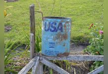 For Africa, Resilience Trumps Growth For Africa, Resilience Trumps Growth