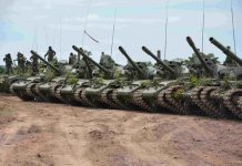 Shifting from Imported Weapons to Homegrown Defense Shifting from Imported Weapons to Homegrown Defense