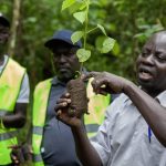 UBL NFA Rotary Launch 80000 Tree Restoration Project UBL NFA Rotary Launch 80000 Tree Restoration Project