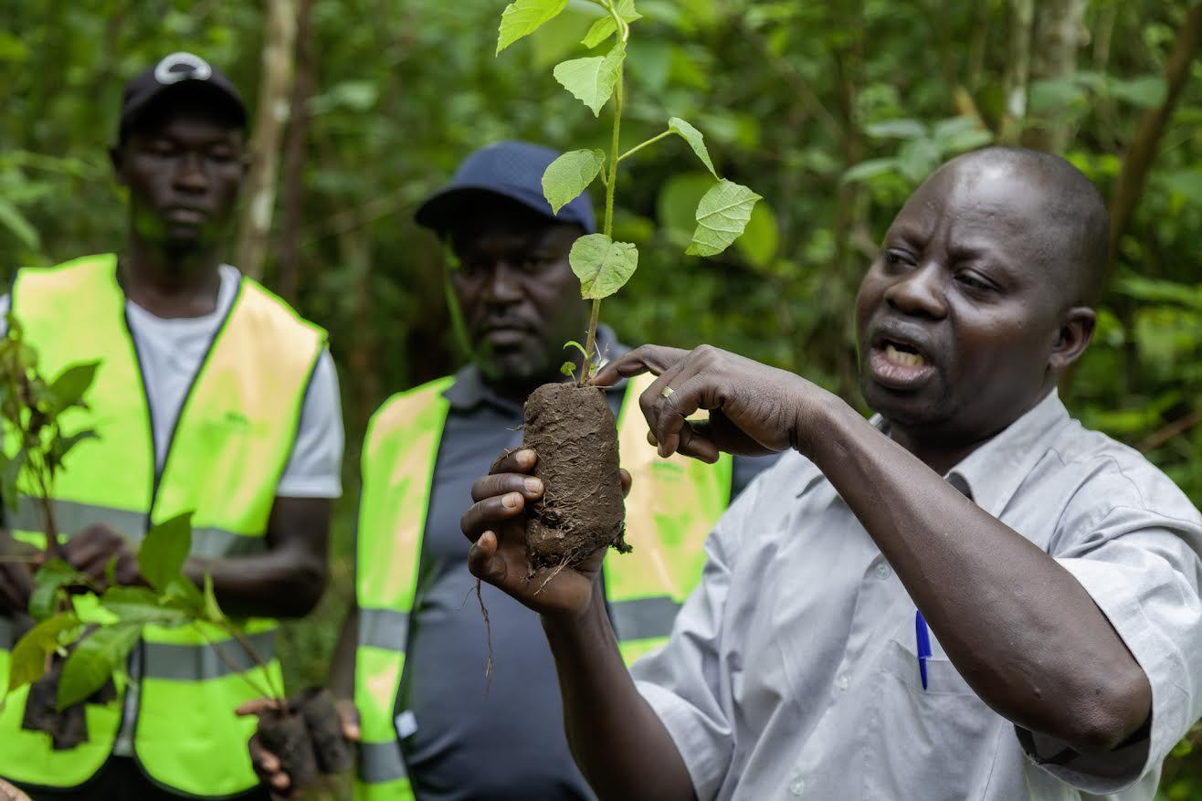 UBL NFA Rotary Launch 80000 Tree Restoration Project UBL NFA Rotary Launch 80000 Tree Restoration Project