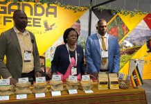 From Farm to Cup: Uganda’S Coffee Brewing Global Impact From Farm to Cup: Uganda'S Coffee Brewing Global Impact