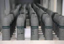 Safeguarding the Neutrality of Global Disarmament Institutions Safeguarding the Neutrality of Global Disarmament Institutions