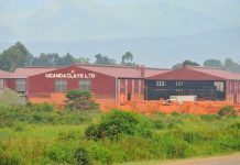 Uganda Clays Returns to Profitability with Shs142M Uganda Clays Returns to Profitability with Shs142M