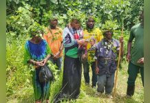 From Forest to Survival: the Struggle to Save the Batwa From Forest to Survival: the Struggle to Save the Batwa