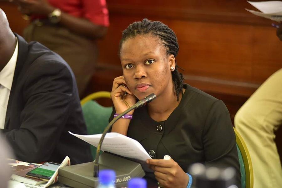 Adeke Named FDC Chief Whip in Parliament Adeke Named FDC Chief Whip in Parliament