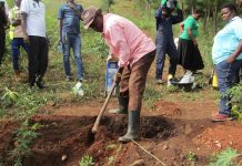 Ecotrust Programme Promotes Climate-Smart Tree Planting Ecotrust Programme Promotes Climate-Smart Tree Planting