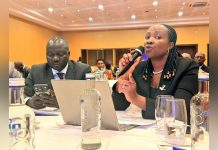 Finance Ministry Launches Public Investment Committee Finance Ministry Launches Public Investment Committee