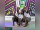 Arua’S Cross-Border Sound Powers Tusker Lite Raves Arua'S Cross-Border Sound Powers Tusker Lite Raves