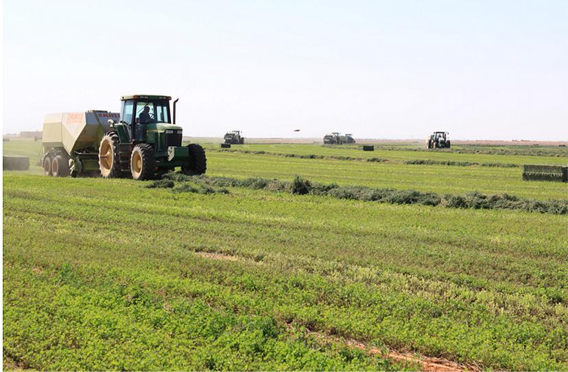 الاليات-الزراعية-في-السودان-زراعة