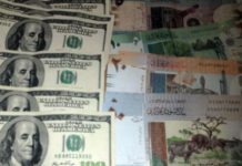 الدولار يواصل صعوده ويقترب من حاجز ٢٢ جنيهاً