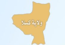 توقيف ٢٠ متسللاً أجنبياً بكسلا بعد تبادل ٍ لإطلاق النار