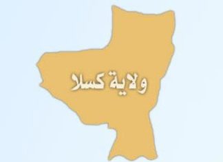 توقيف ٢٠ متسللاً أجنبياً بكسلا بعد تبادل ٍ لإطلاق النار