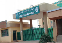 المراجع القومي يكشف تفاصيل جديدة عن شركات الدواء الوهمية