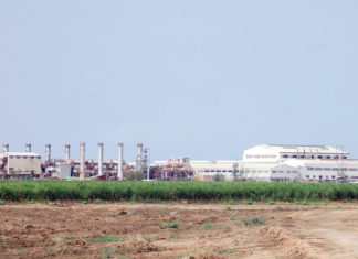 شركة كنانة تسعى لرفع إنتاجها من السكر لـ400 ألف طن سنوياً