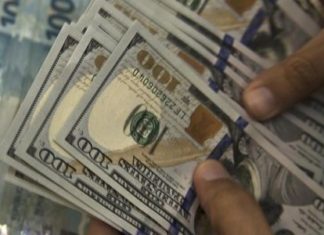 الدولار يحطم كل الأرقام القياسية السابقة ويتخطى حاجز الـ٢٥ جنيهاً