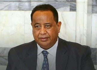 في خطوة إحتجاجية ..إرجاء زيارة غندور للقاهرة إلى أجل غير مسمى