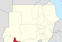 الإتحاد الإفريقي يبدأ تحقيقاً ميدانياً بشأن تسلل قوات جنوبية إلى دارفور