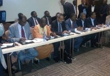 وفد الحكومة : جولات التفاوض القادمة حول المنطقتين ستكون “حاسمة”