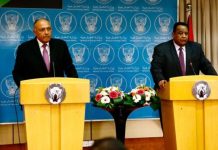 غندور وشكري يبحثان علاقات البلدين بعد موجة من التصعيد والتوتر