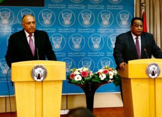 غندور وشكري يبحثان علاقات البلدين بعد موجة من التصعيد والتوتر