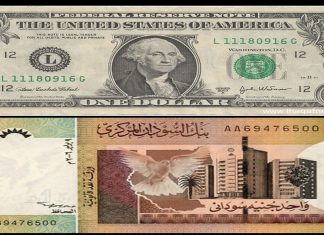 إقبال كبير على شراء العملات بعد تهاوي قيمة الجنيه والمركزي ينفي تحديده سقف للسحب اليومي