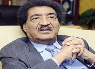 سفير السودان يعود لمزاولة عمله بالقاهرة مطلع مارس