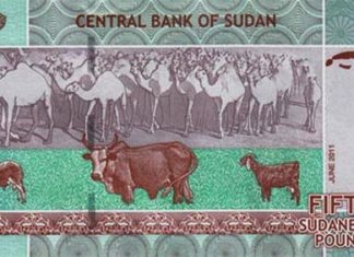 النائب العام يدعو المواطنين للحذر في التعامل مع العملة فئة 50 جنيهاً