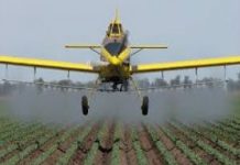 25 مليون دولار من بنك السودان لمكافحة الآفات الزراعية