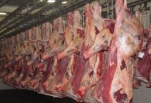 إطلاق حملة لمقاطعة اللحوم بالسودان للحد من إرتفاع أسعارها