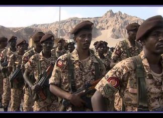 وزارة الدفاع : نعمل على تقييم مشاركة الجيش السوداني في حرب اليمن