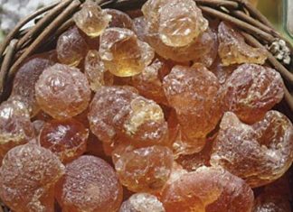 السودان يدعو لعقد مؤتمر دولي للصمغ العربي بالخرطوم