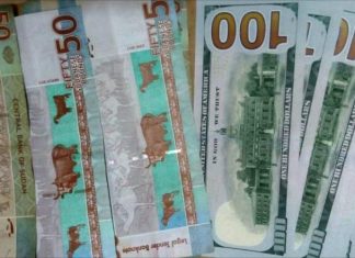 الجنيه يتراجع مجدداً أمام الدولار الذي بلغ أسعاراً قياسية بالسوق الموازي