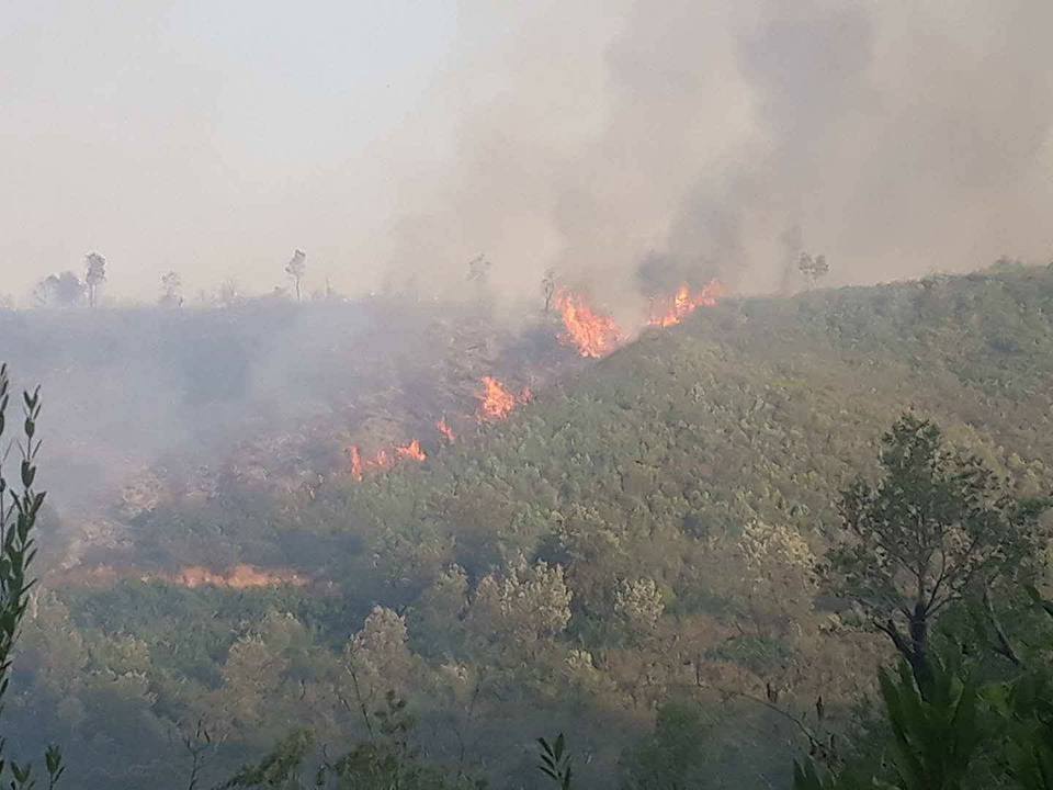 20374609_1039989356141457_8725886968925449084_n