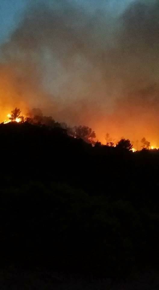 20476201_10213702060089503_7643354951678373422_n