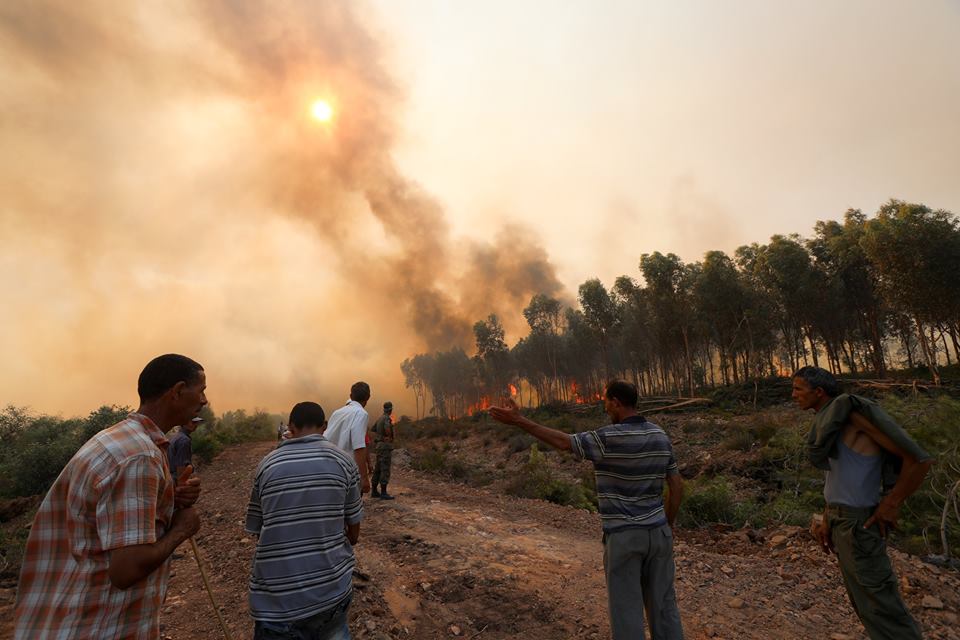 20637863_1966999186901928_8304116329401291710_n