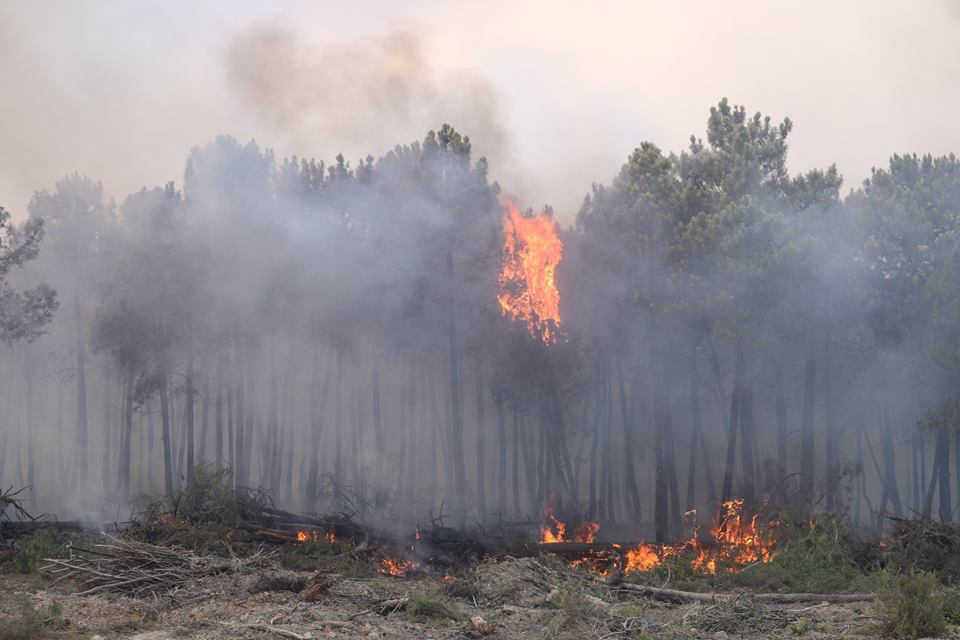 20638105_1966999110235269_3253498626721669735_n