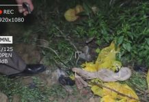 العثور على أعضاء بشرية تعبث بها الكلاب في الجلاز