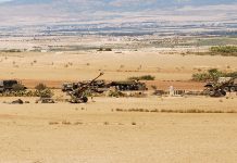 الجزائر تدرب فرقاً أمنية تونسية على مكافحة الإرهاب