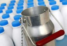 قطاع الألبان يهدد بايقاف الانتاج