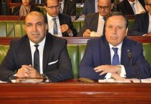 الجهيناوي: السياسة الخارجية لا تقودها الايديولوجيا ولا رئيس الجمهورية