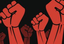 ستفشل الثورة على الثورة