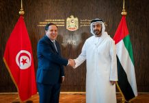الجهيناوي يدعو أمير دولة الإمارات للمشاركة في القمة العربية