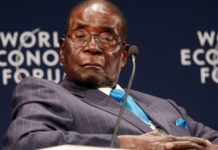 The Disaster of Zimbabwe’s Price Controls