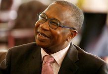 Zim Firms See Tougher Second Half of the Year As Economy Implodes