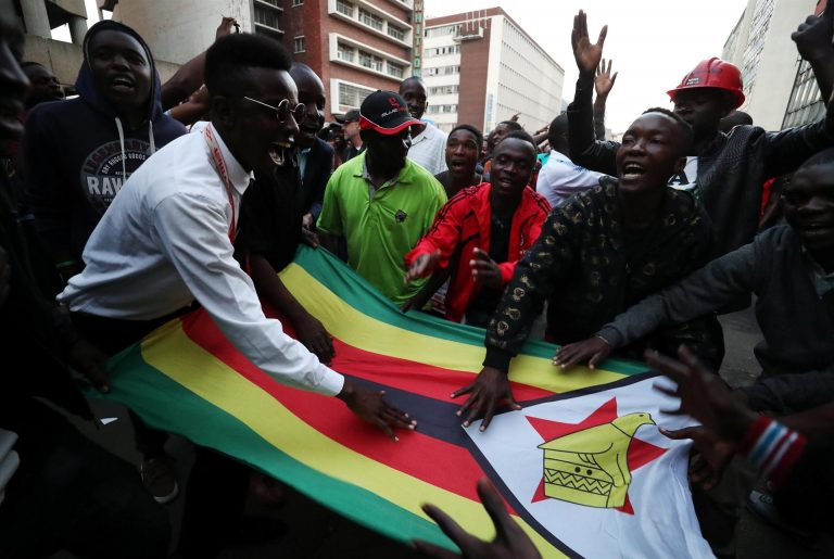 Only protests can remove Zanu PF